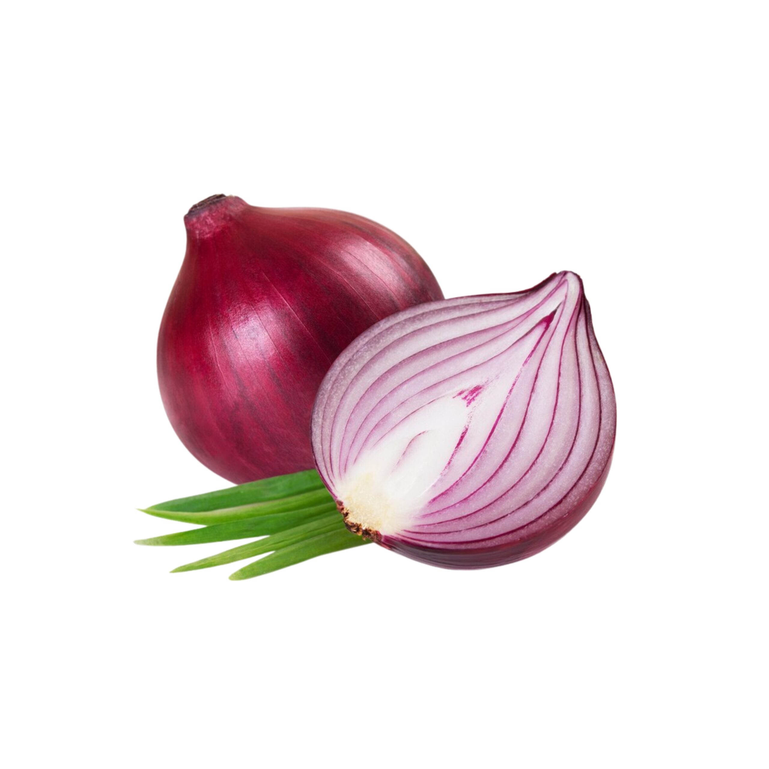 Onion